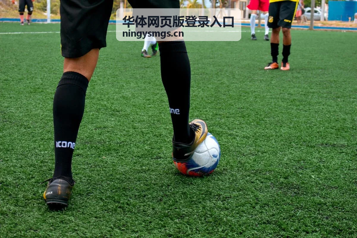 华体网页版登录入口登录指引封面图