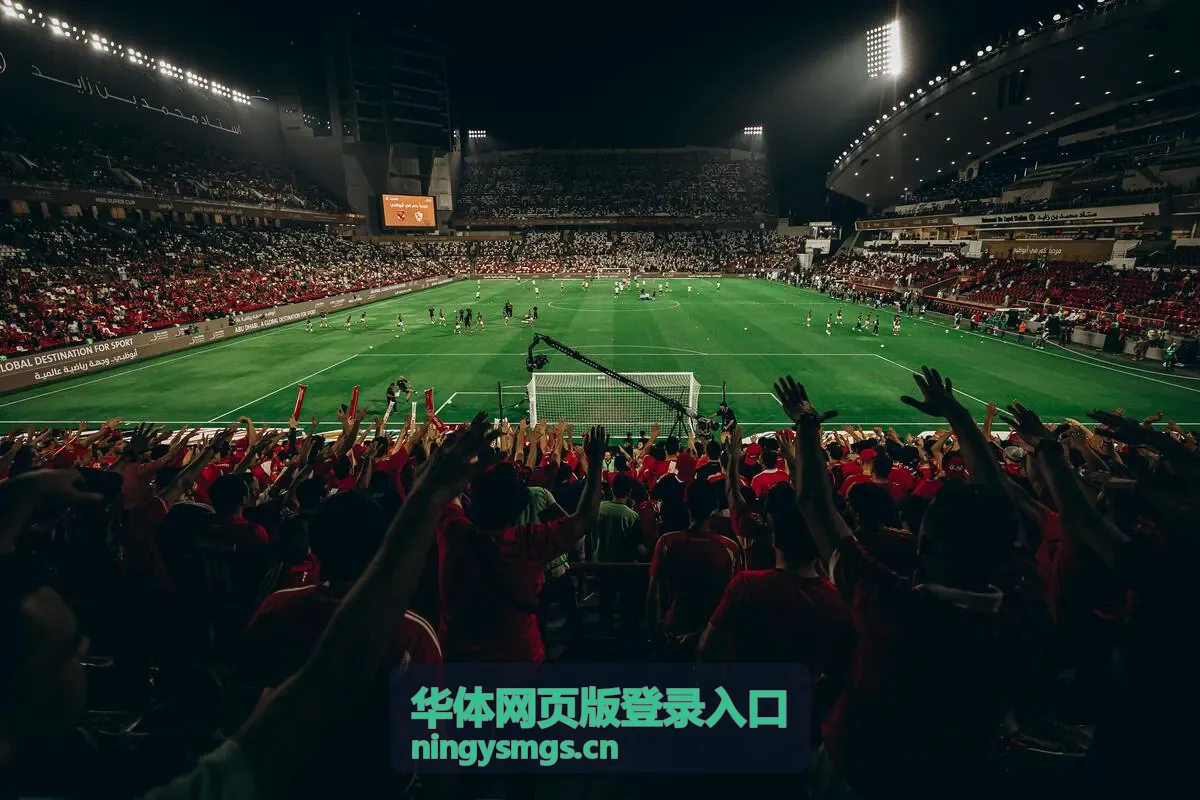 华体网页版登录入口账号身份校验演示截图