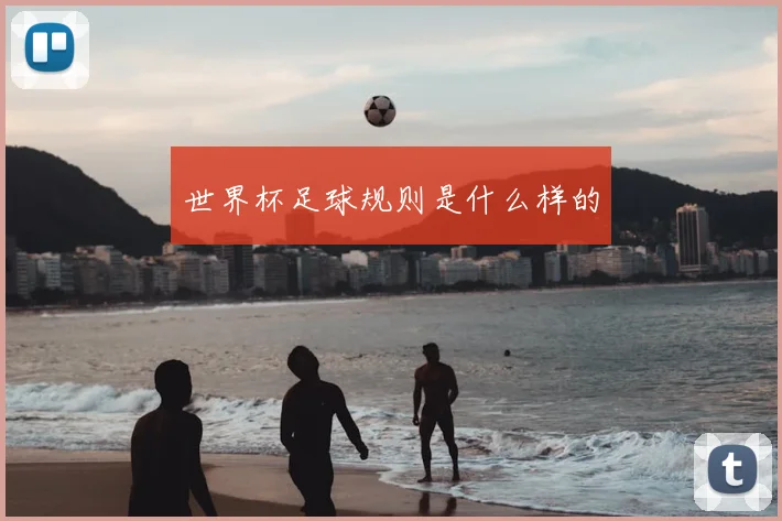 世界杯足球规则是什么样的