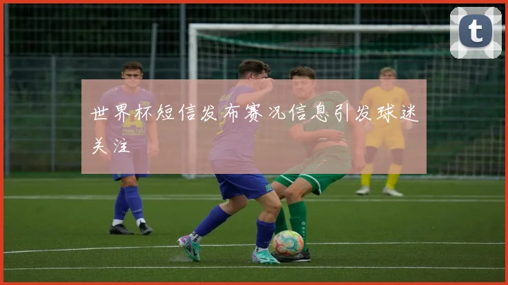 世界杯短信发布赛况信息引发球迷关注