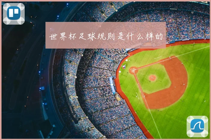 世界杯足球规则是什么样的