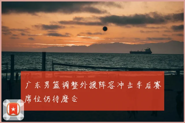 广东男篮调整外援阵容冲击季后赛席位仍待磨合