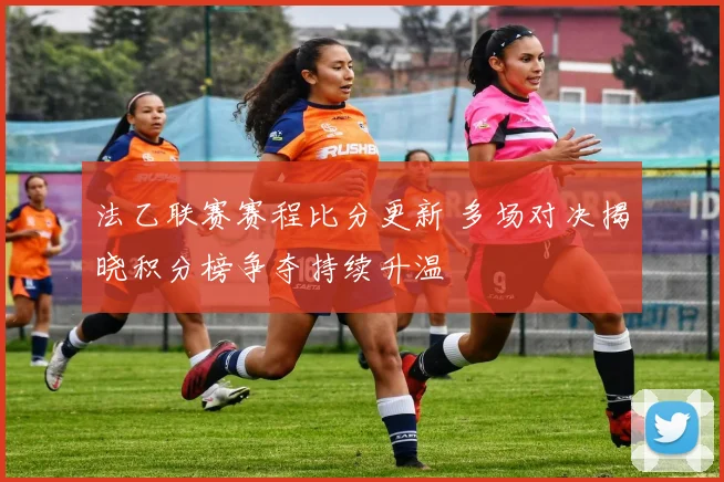 法乙联赛赛程比分更新 多场对决揭晓积分榜争夺持续升温