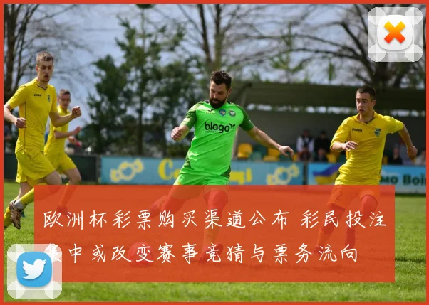 欧洲杯彩票购买渠道公布 彩民投注集中或改变赛事竞猜与票务流向