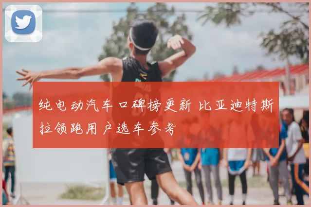 纯电动汽车口碑榜更新 比亚迪特斯拉领跑用户选车参考