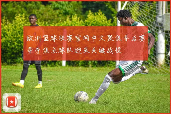 欧洲篮球联赛官网中文聚焦季后赛争夺焦点球队迎来关键战役