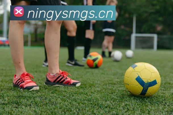 三亿体育平台生态图